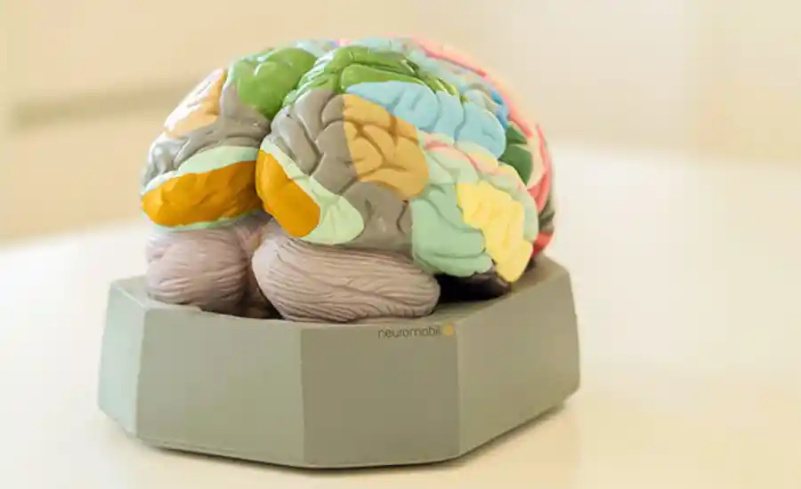 Aus- und Weiterbildung Hirndruckmonitoring Neuromobil
